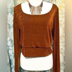 BP Nordstrom brown crop top, very stretchy, long sleeves, size large, new